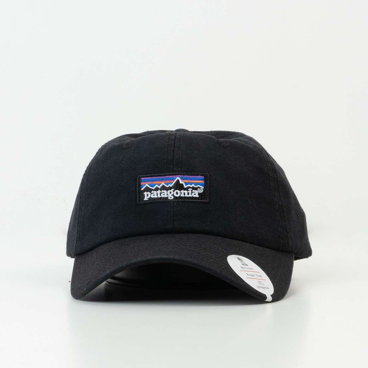 Patagonia Cap Black