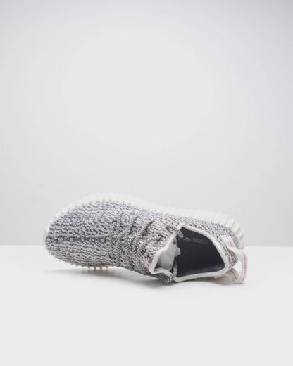 Adidas Yeezy Boost 350 Turtledove (2022) - 14005