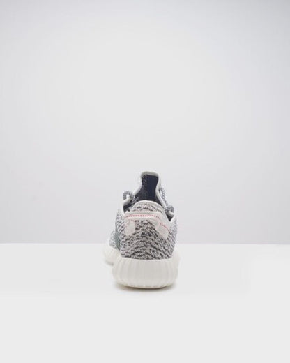 Adidas Yeezy Boost 350 Turtledove (2022) - 14005